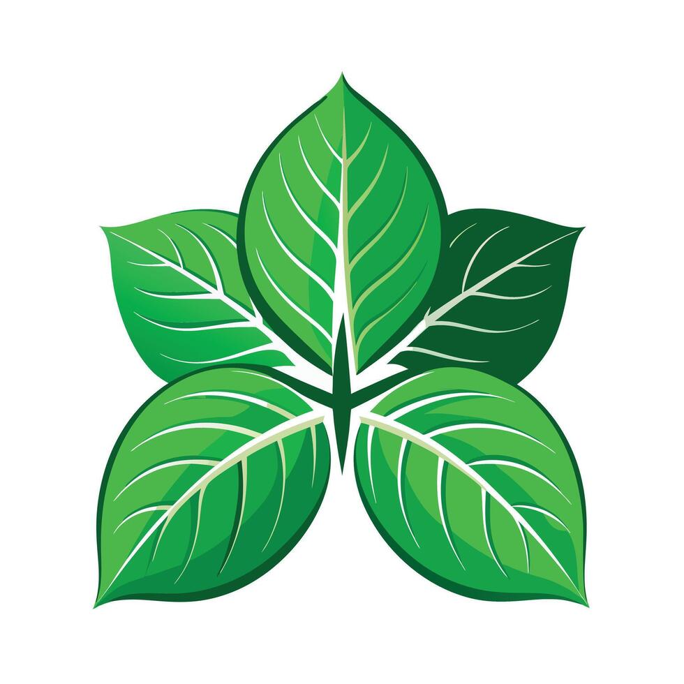Realistic Beautiful Leaves Illustration vector