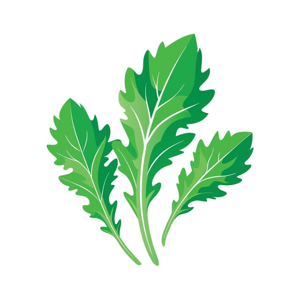 Realistic Beautiful Leaves Illustration vector