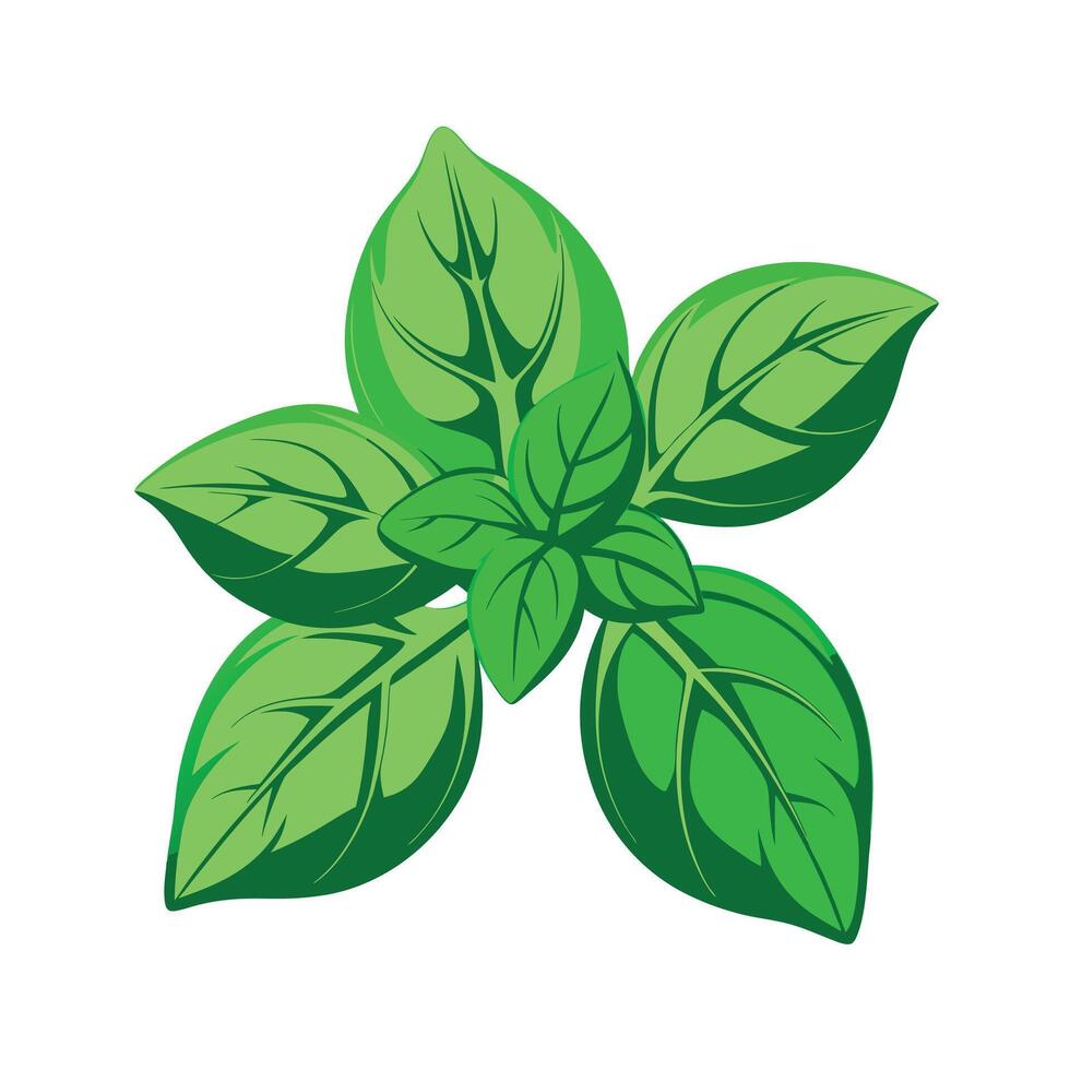 Realistic Beautiful Leaves Illustration vector