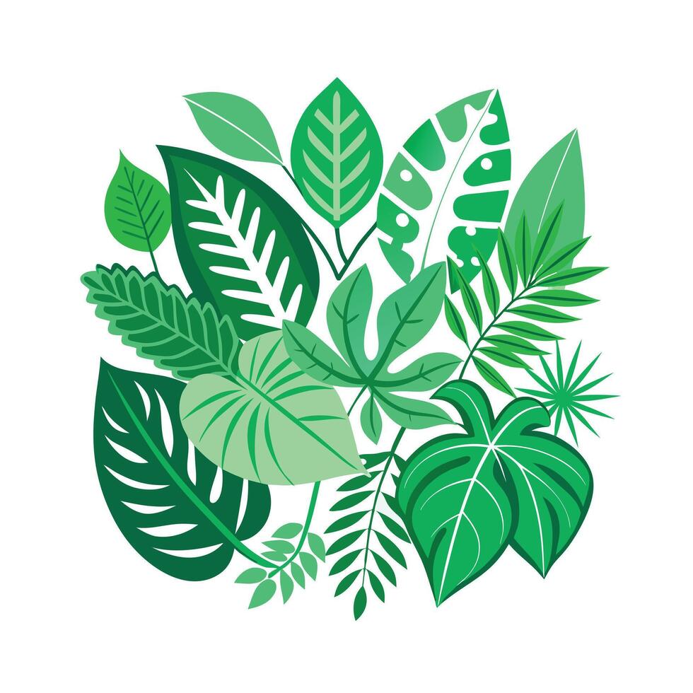 Realistic Beautiful Leaves Illustration vector