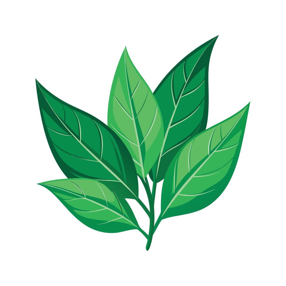 Realistic Beautiful Leaves Illustration vector