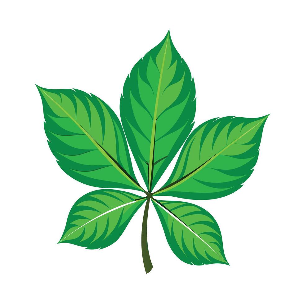 Realistic Beautiful Leaves Illustration vector