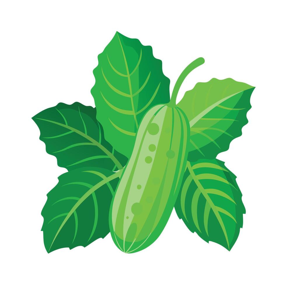 Realistic Beautiful Leaves Illustration vector