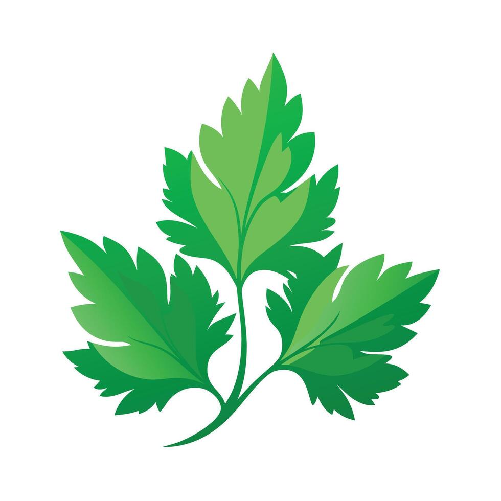 Realistic Beautiful Leaves Illustration vector