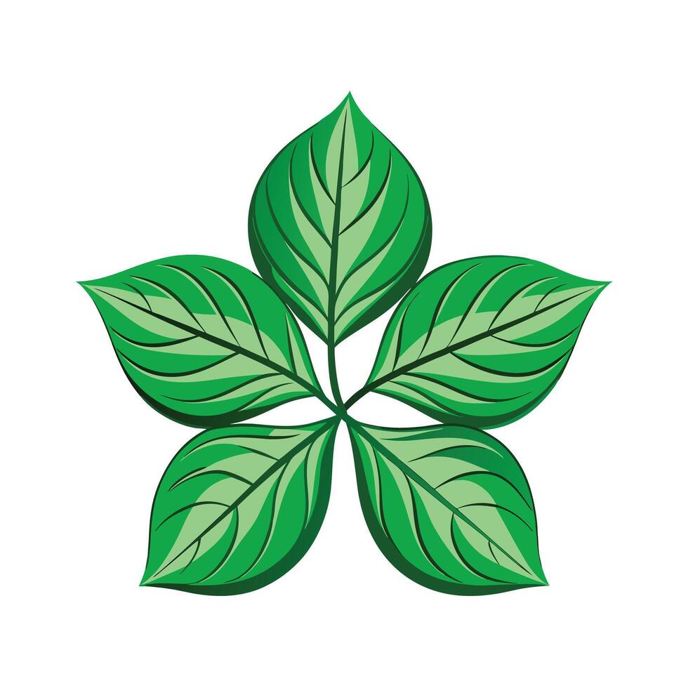 Realistic Beautiful Leaves Illustration vector