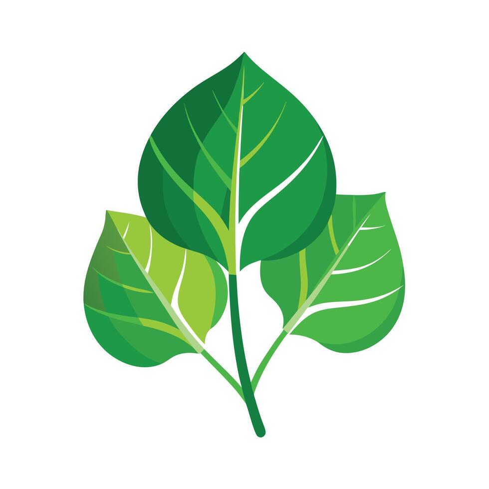 Realistic Beautiful Leaves Illustration vector