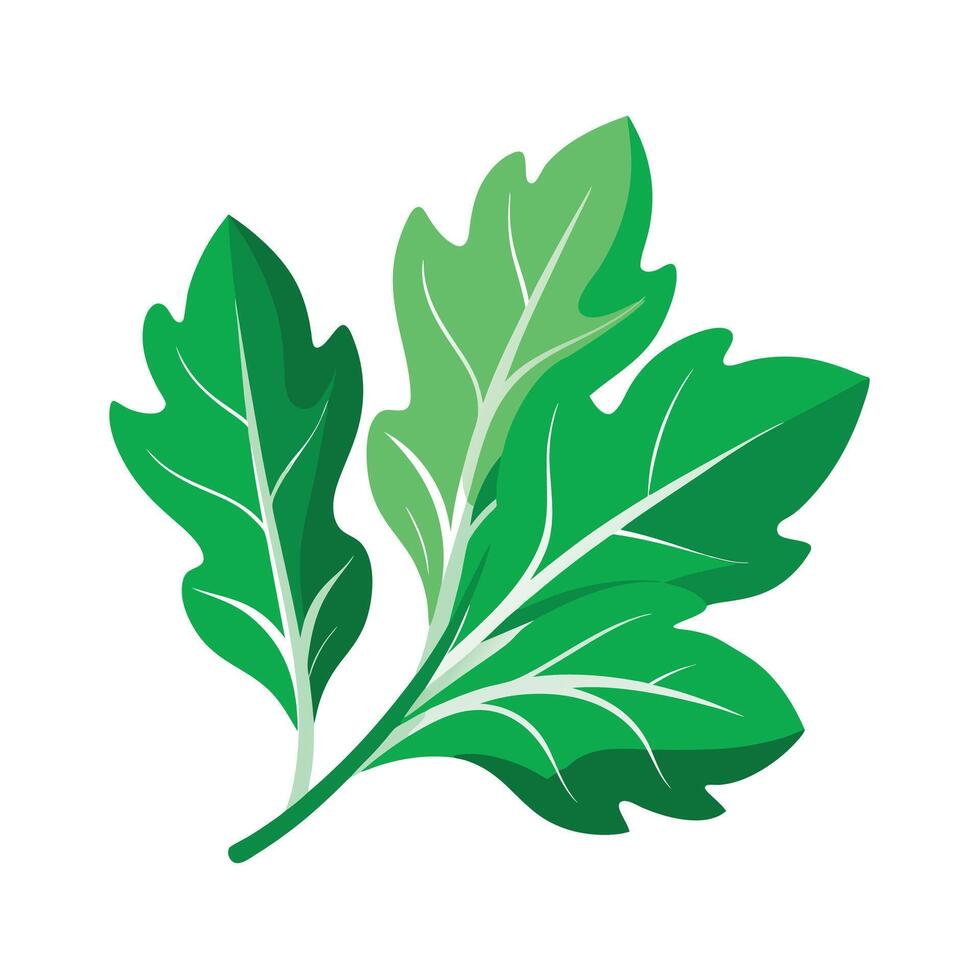 Realistic Beautiful Leaves Illustration vector