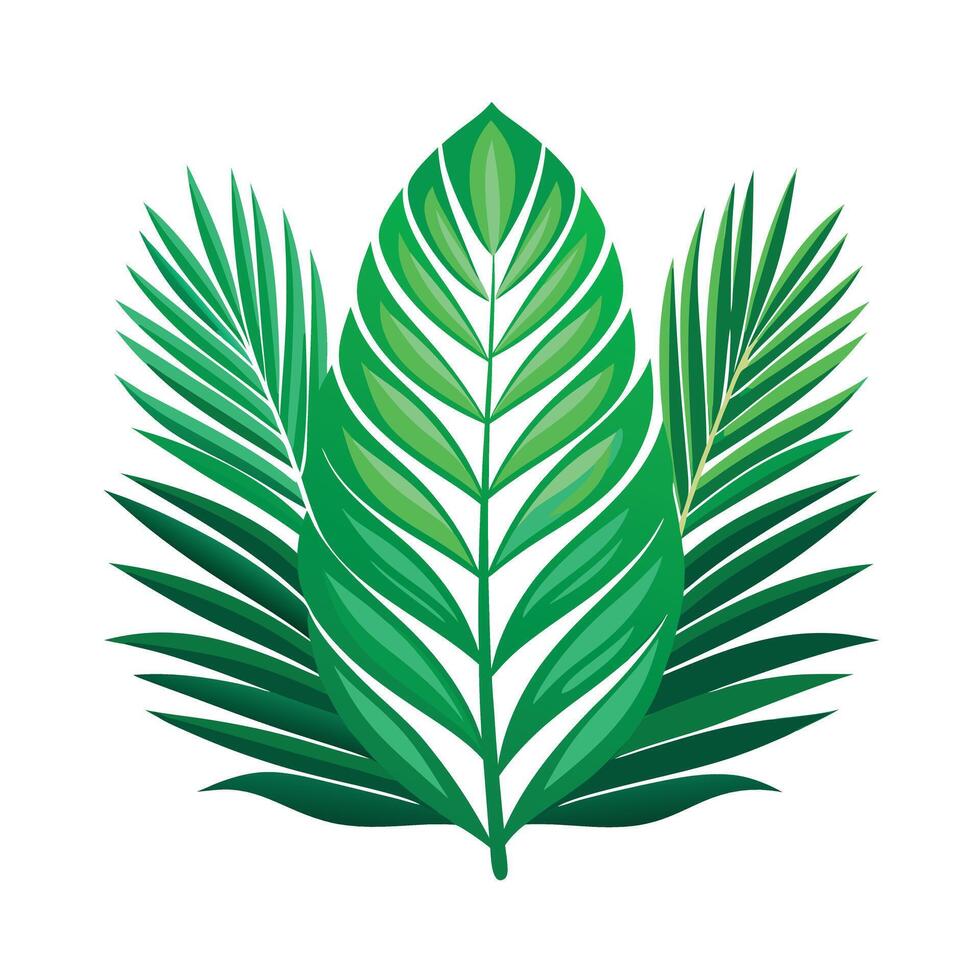Realistic Beautiful Leaves Illustration vector
