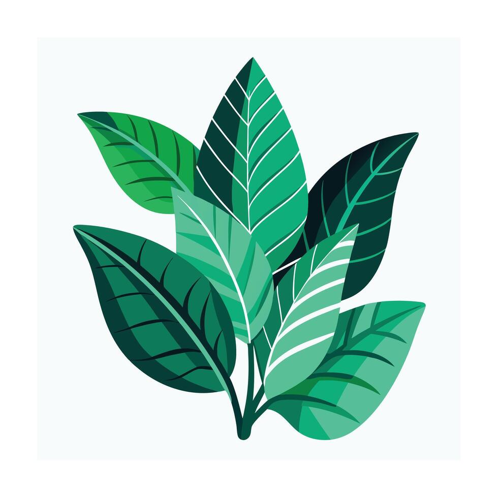 Realistic Beautiful Leaves Illustration vector