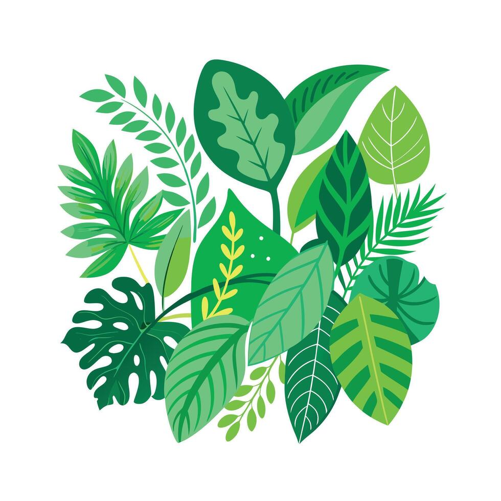 Realistic Beautiful Leaves Illustration vector