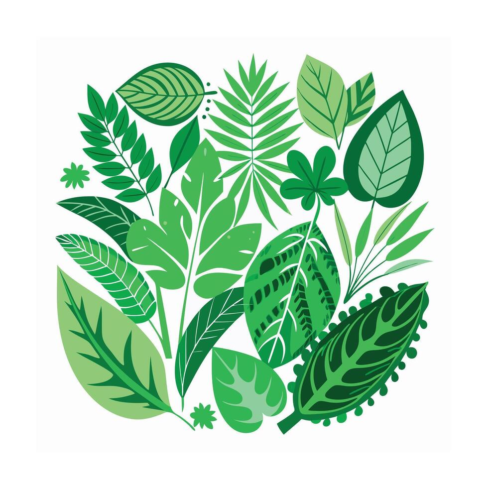 Realistic Beautiful Leaves Illustration vector
