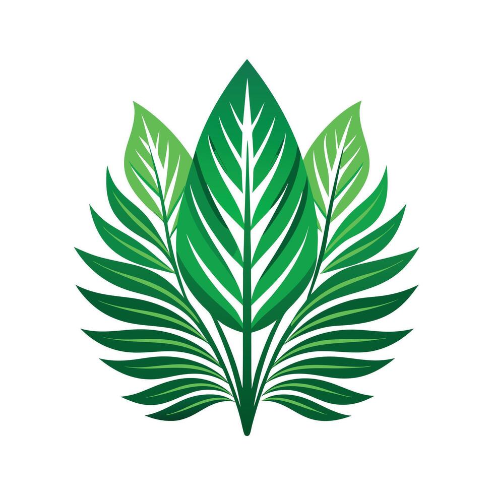 Realistic Beautiful Leaves Illustration vector
