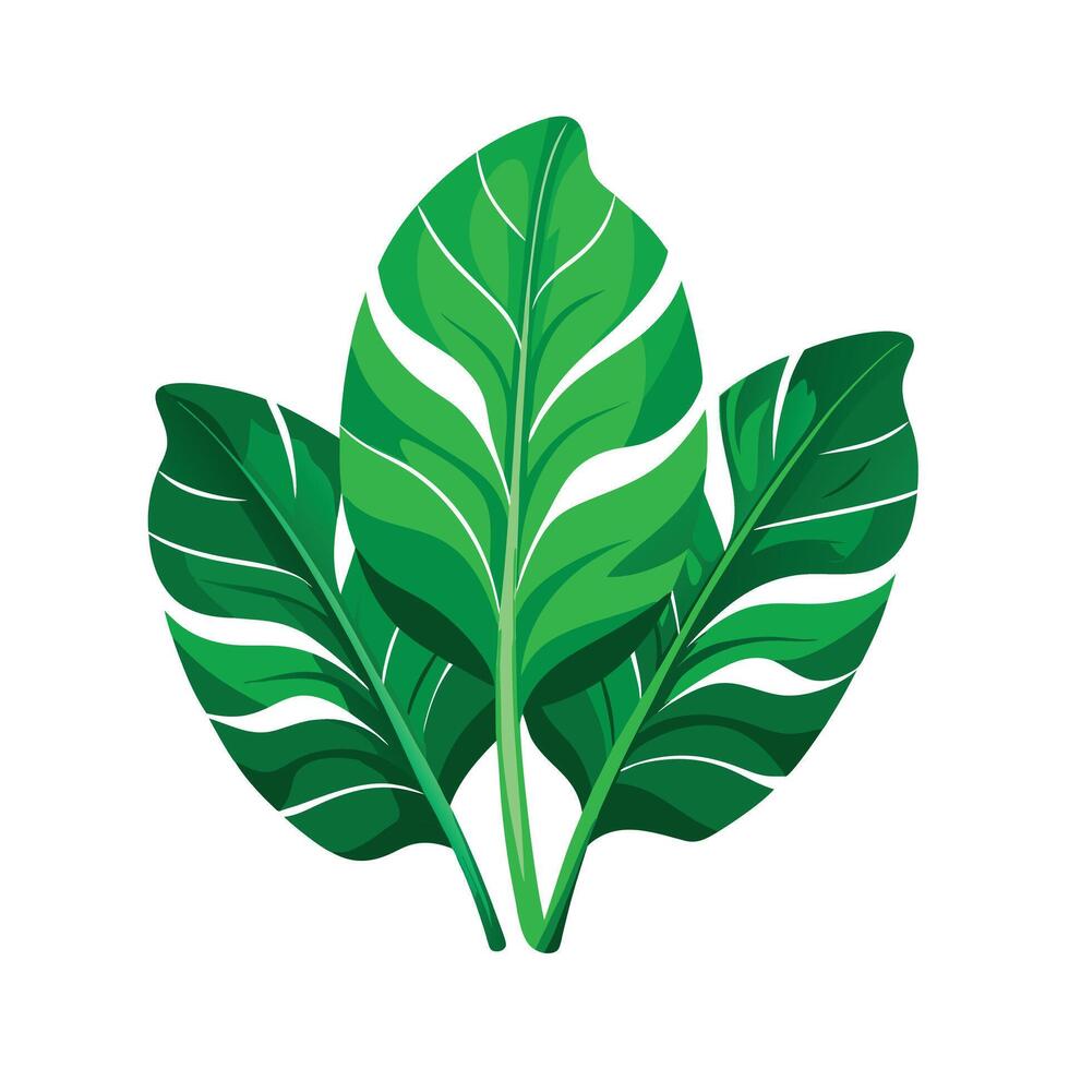 Realistic Beautiful Leaves Illustration vector