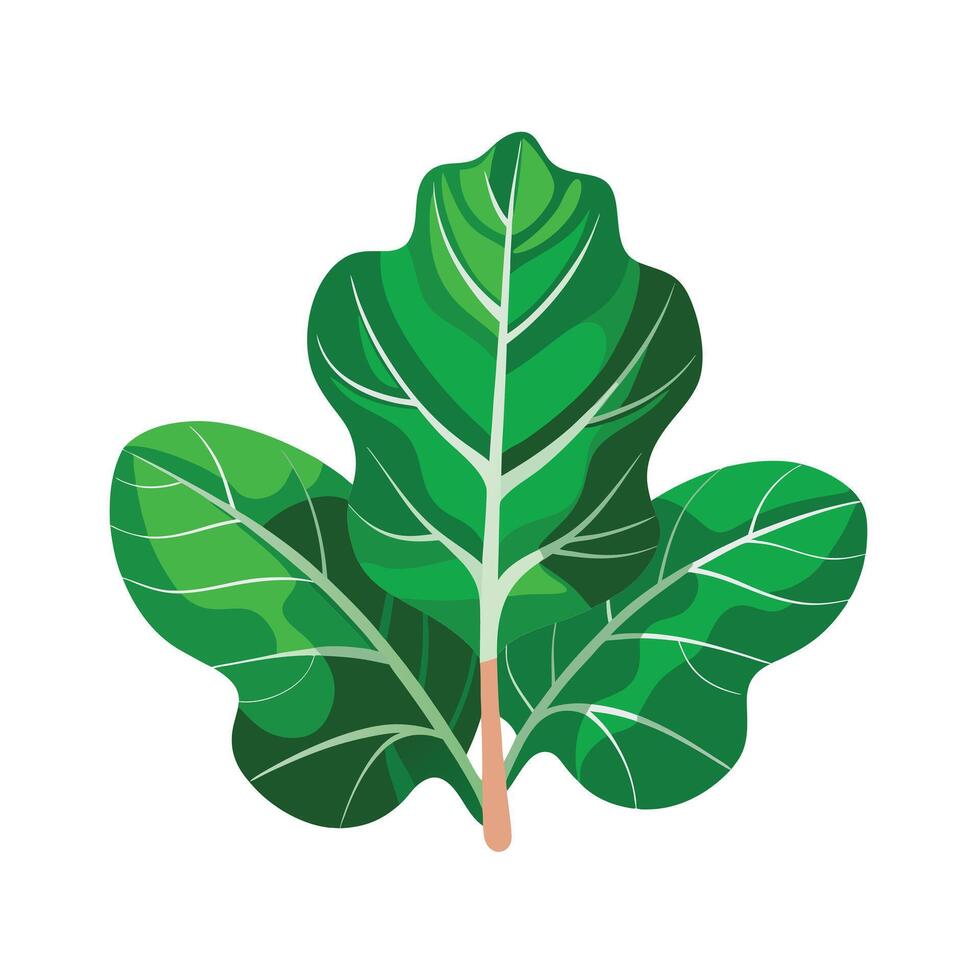 Realistic Beautiful Leaves Illustration vector