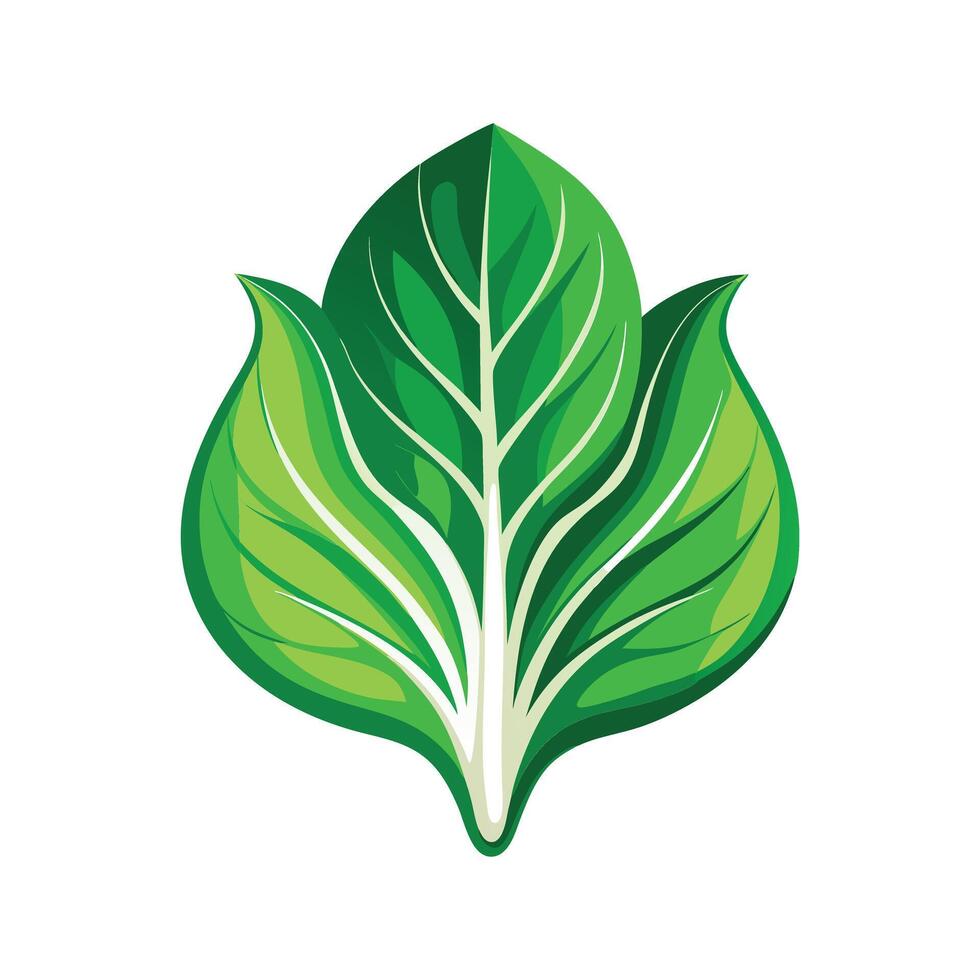 Realistic Beautiful Leaves Illustration vector