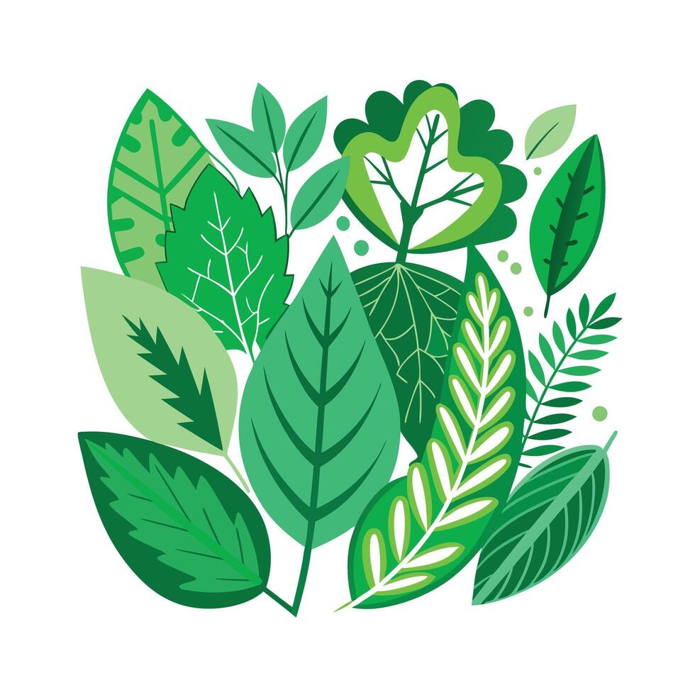 Realistic Beautiful Leaves Illustration vector