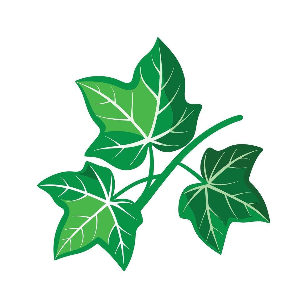 Realistic Beautiful Leaves Illustration vector