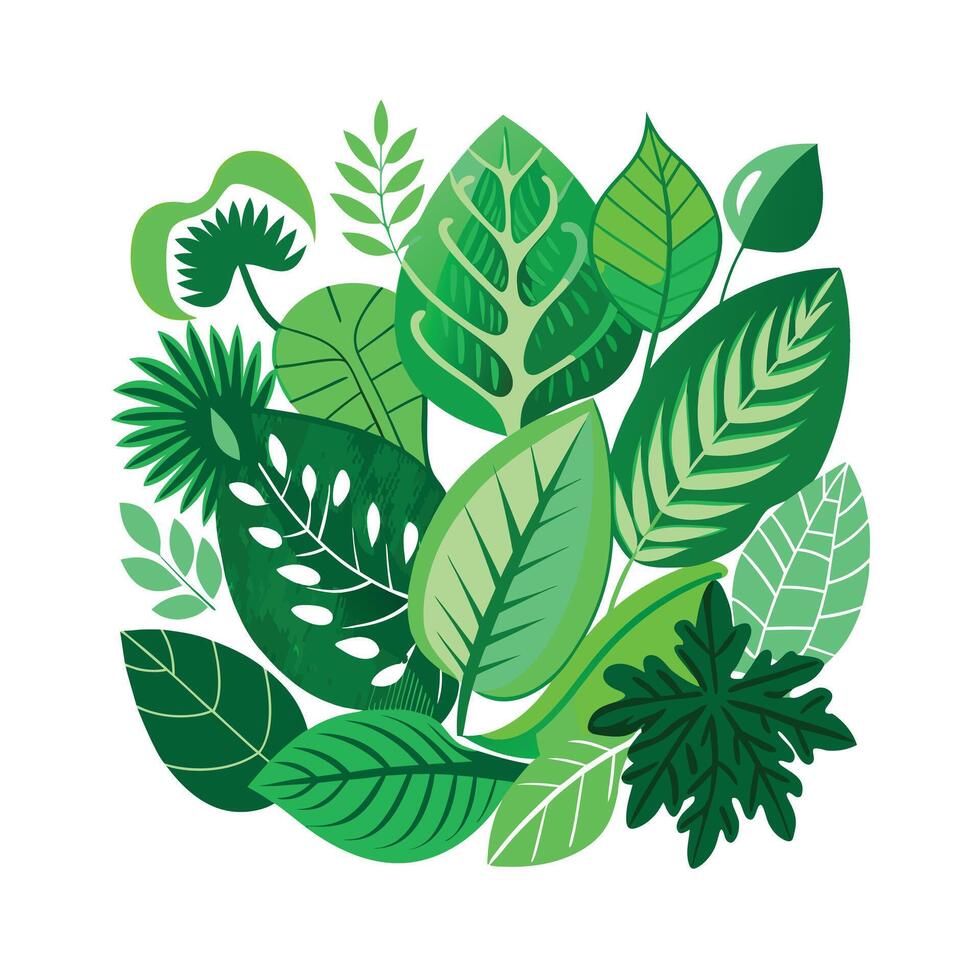 Realistic Beautiful Leaves Illustration vector