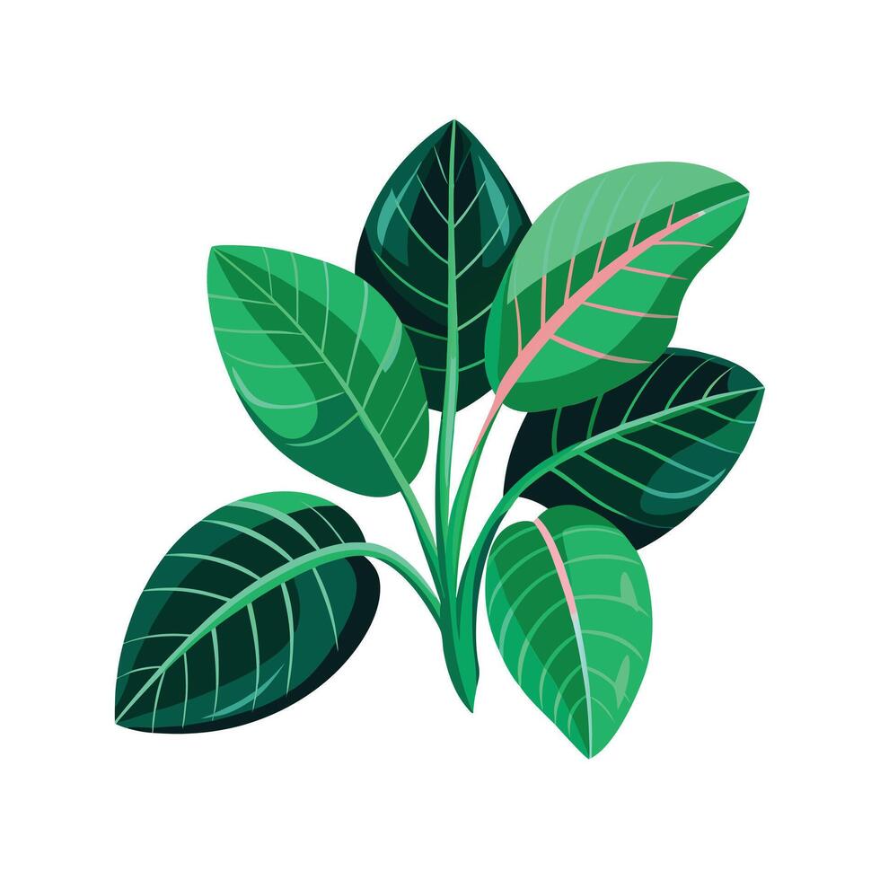 Realistic Beautiful Leaves Illustration vector