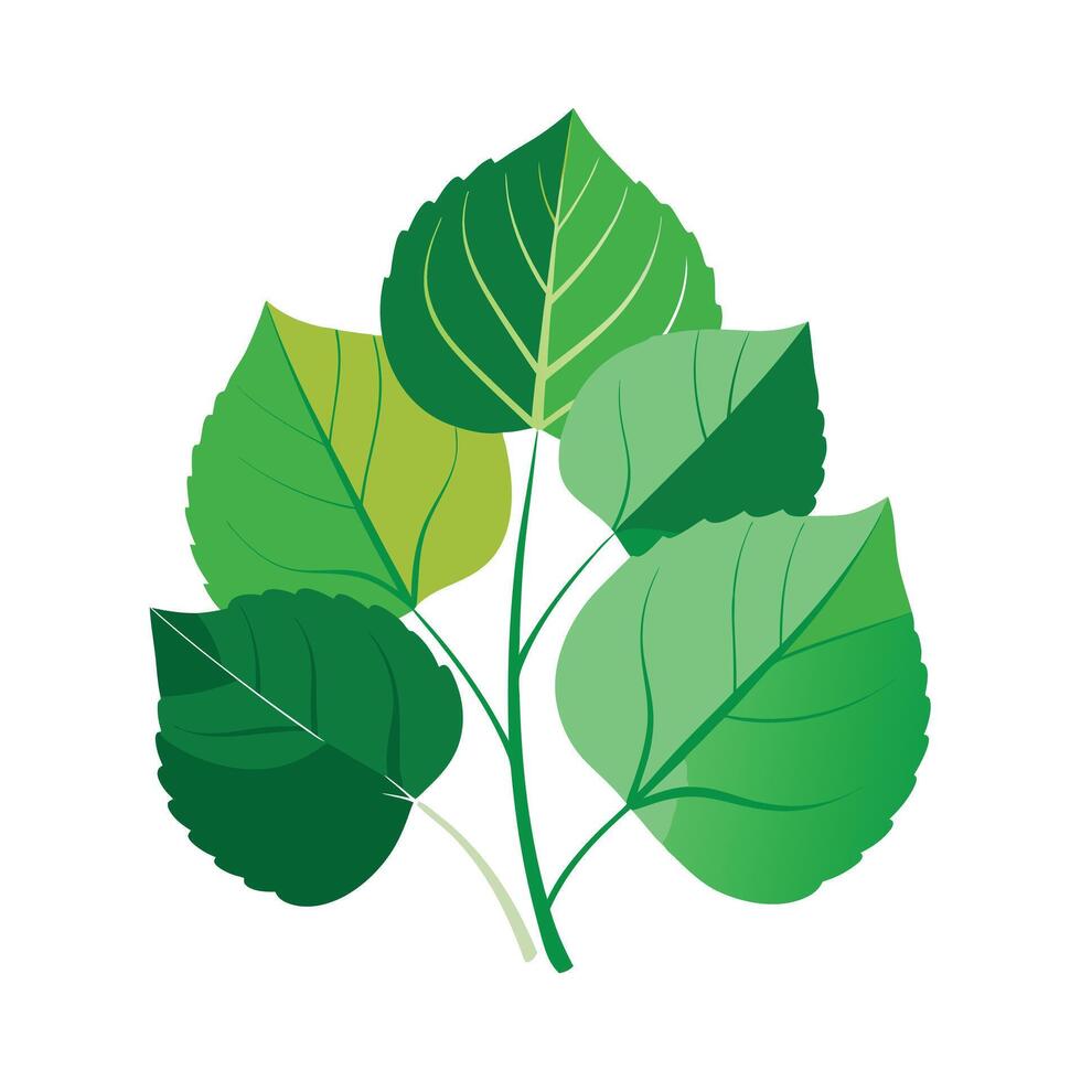 Realistic Beautiful Leaves Illustration vector