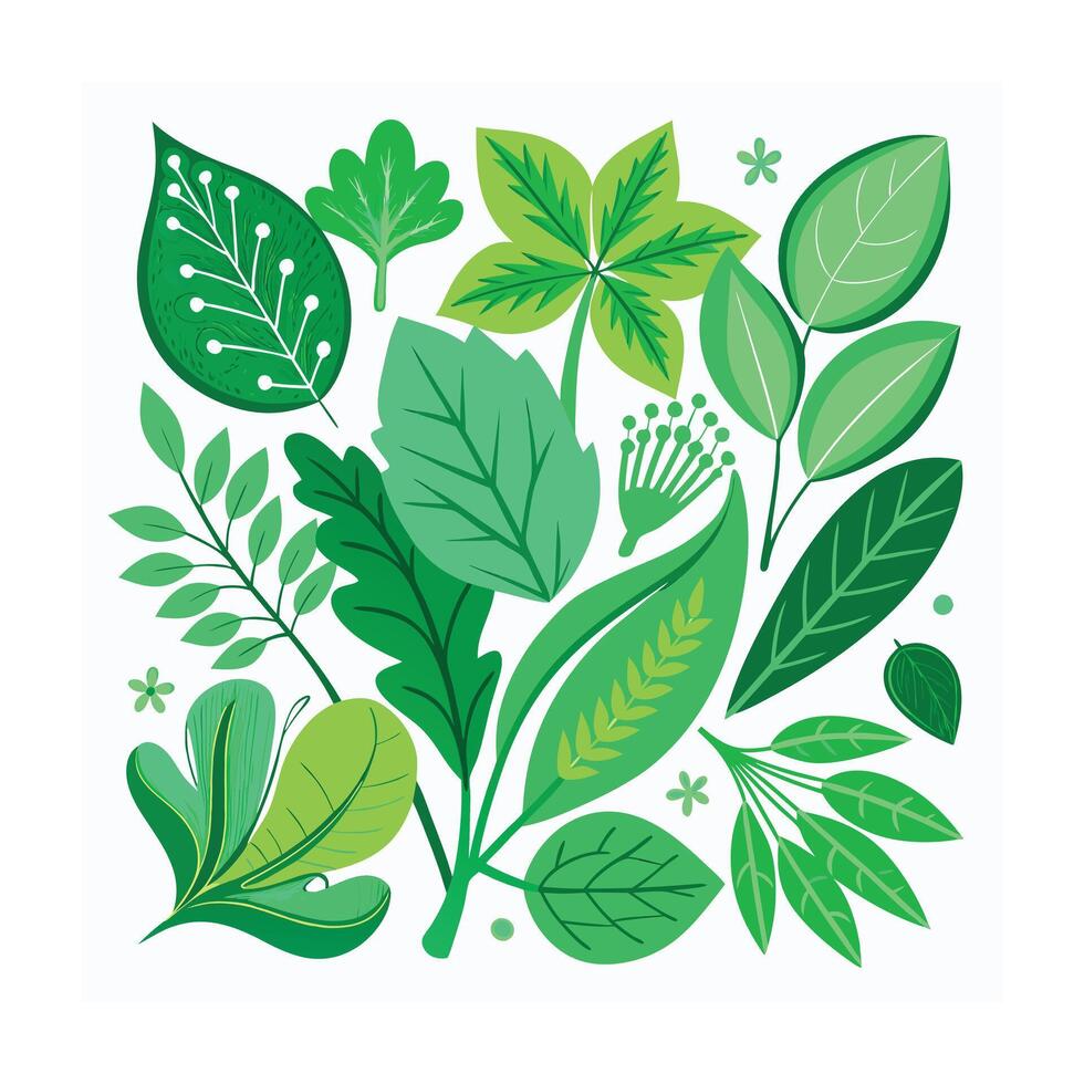 Realistic Beautiful Leaves Illustration vector