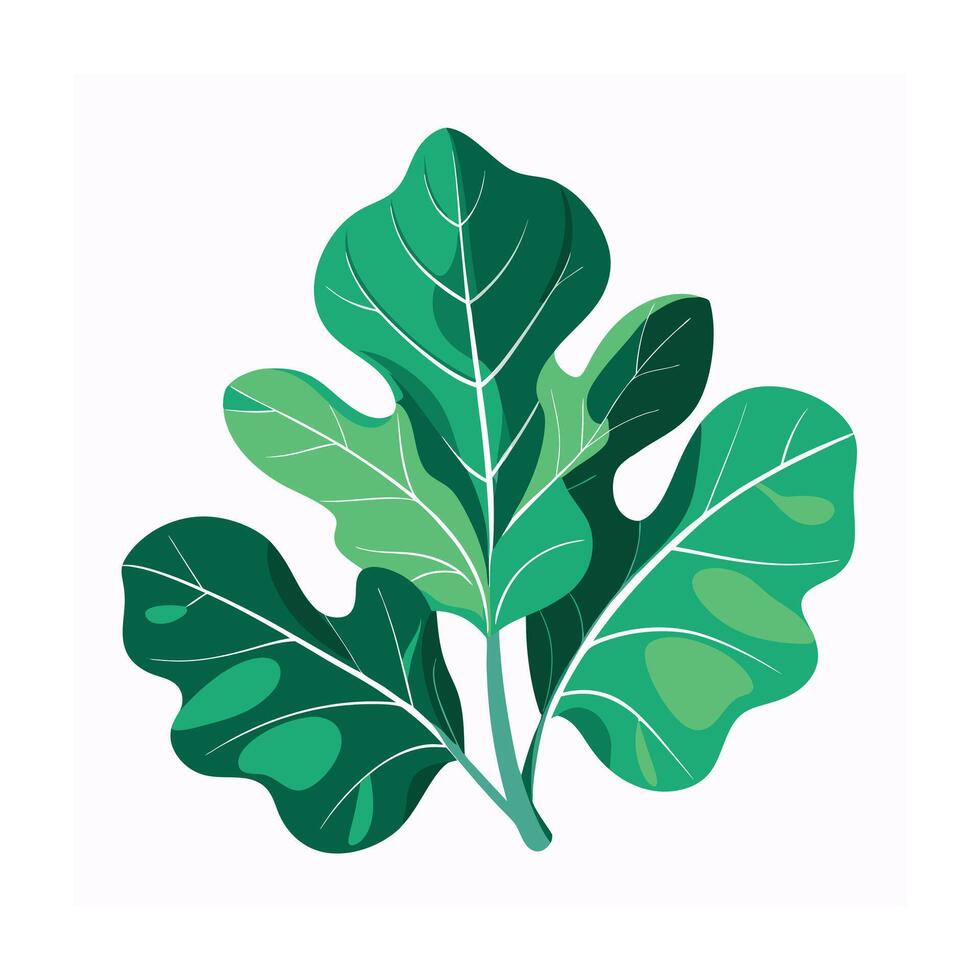 Realistic Beautiful Leaves Illustration vector