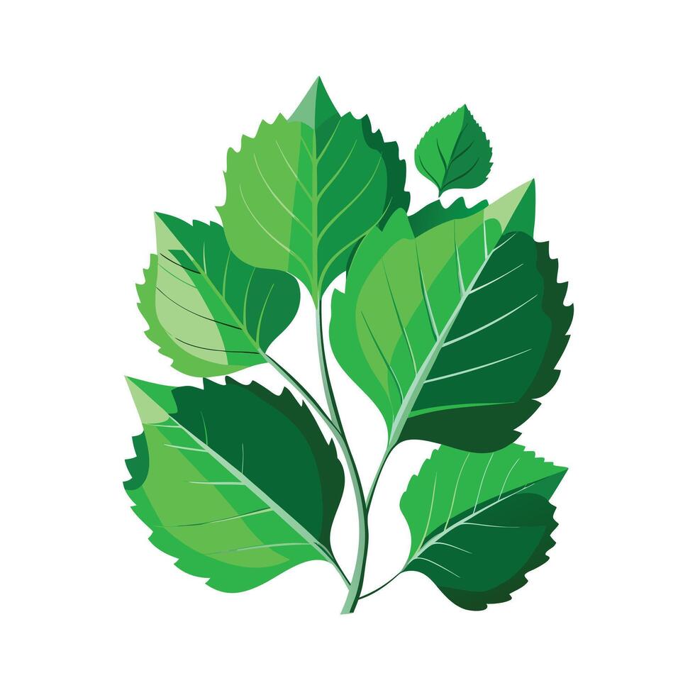 Realistic Beautiful Leaves Illustration vector