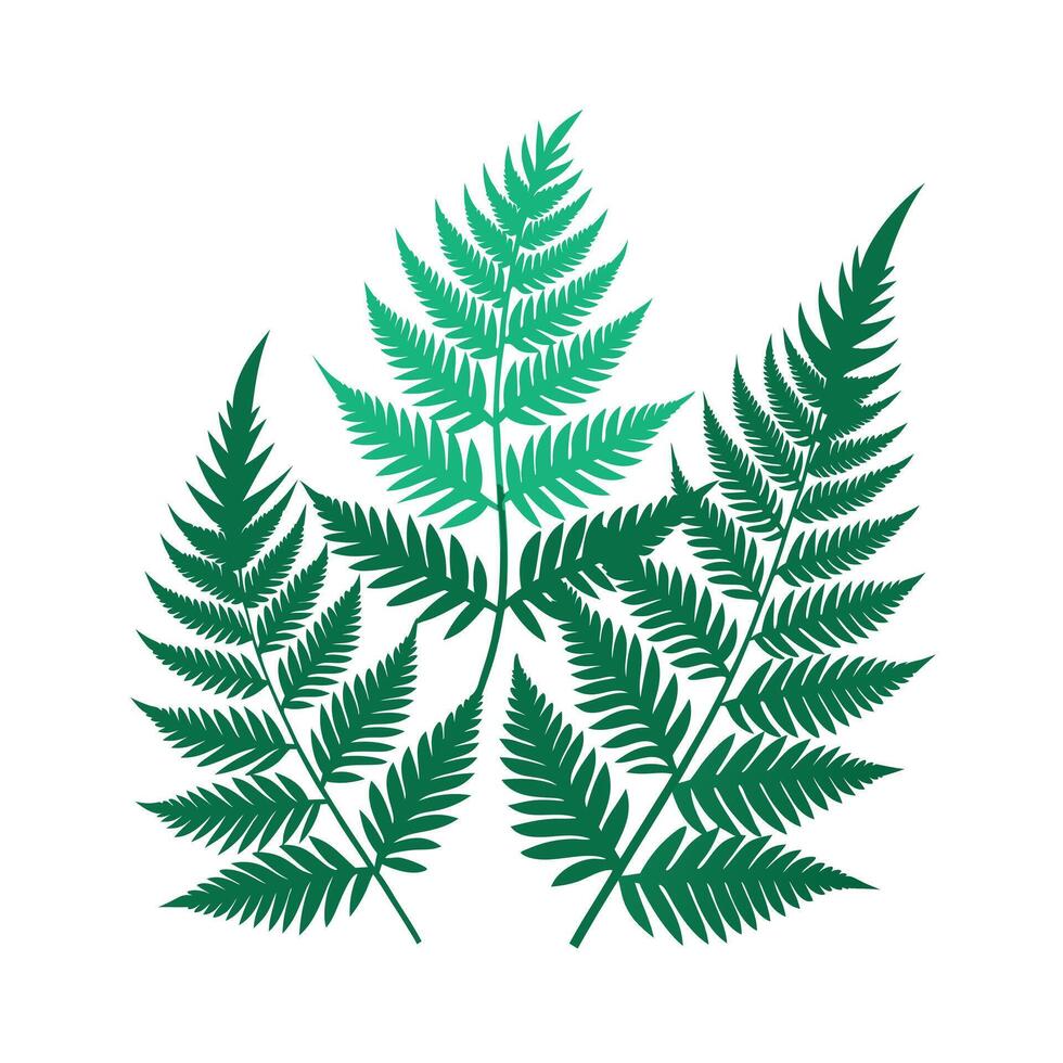 Realistic Beautiful Leaves Illustration vector
