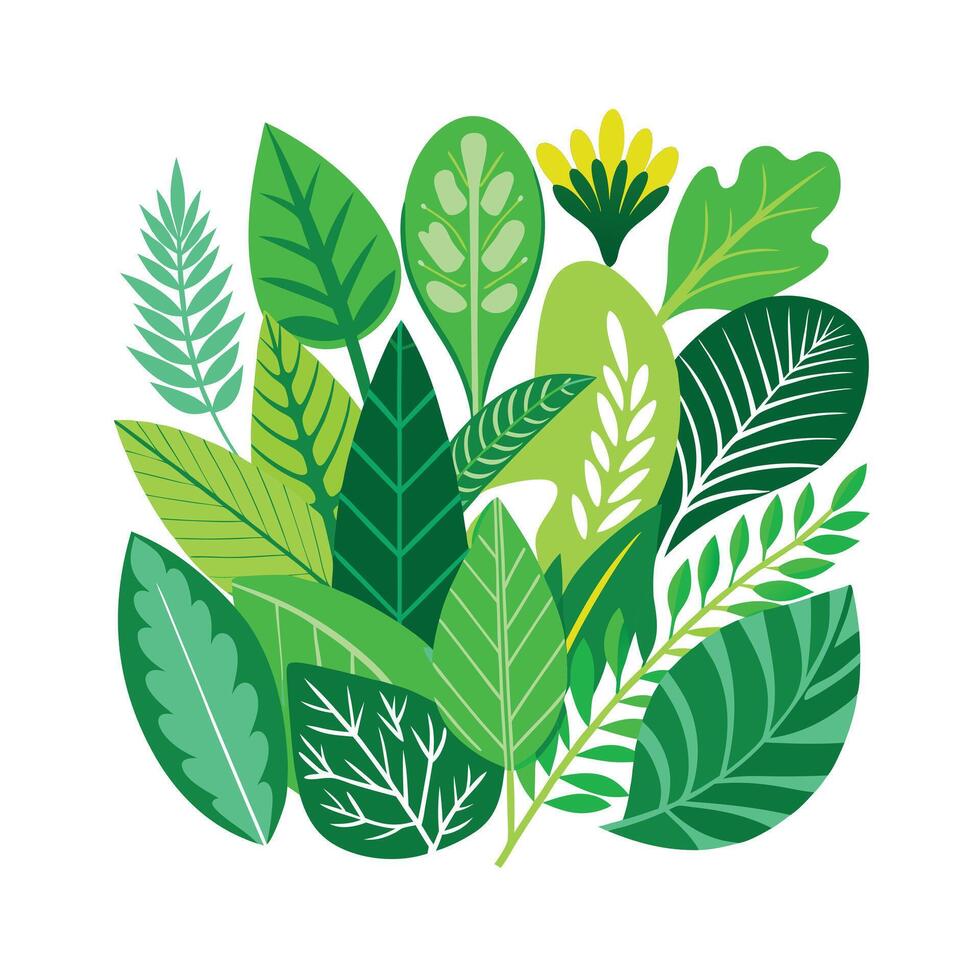 Realistic Beautiful Leaves Illustration vector