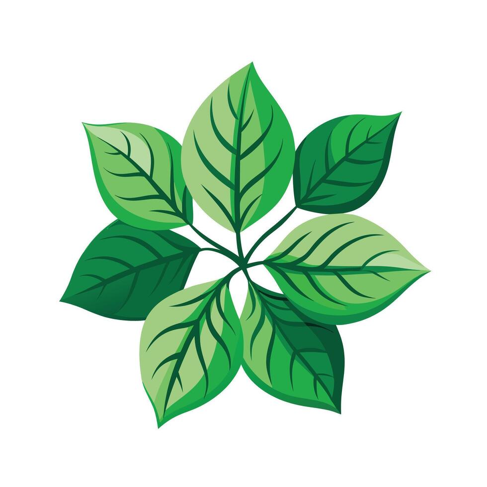 Realistic Beautiful Leaves Illustration vector