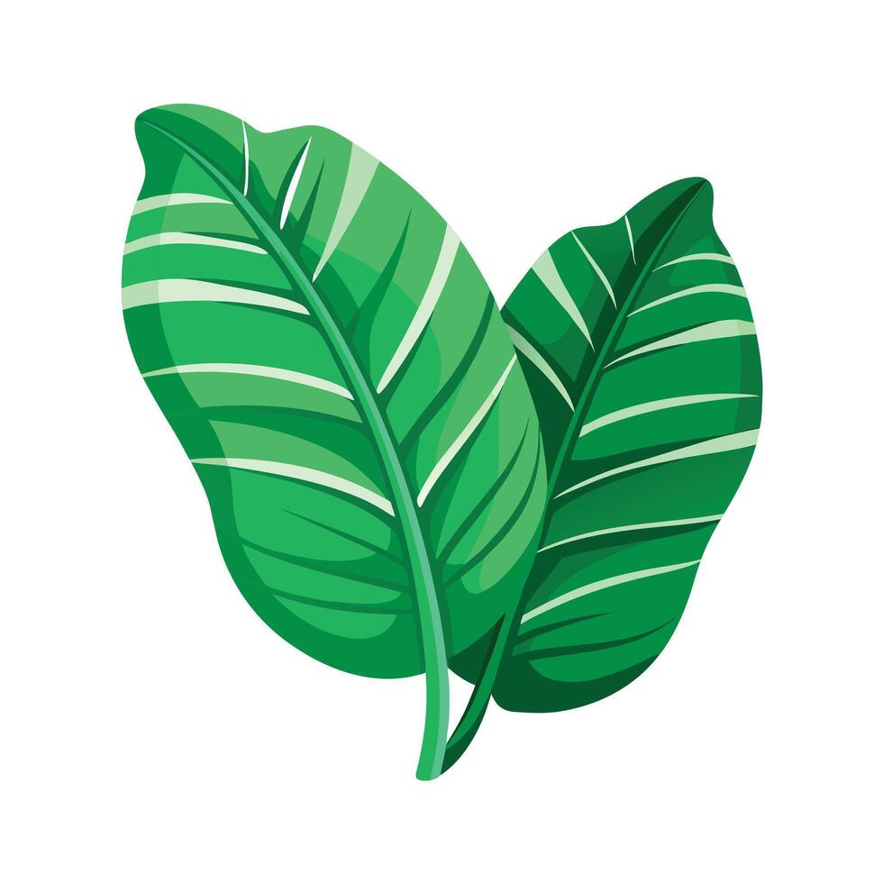 Realistic Beautiful Leaves Illustration vector