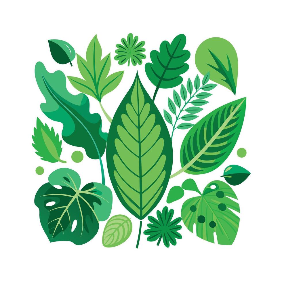 Realistic Beautiful Leaves Illustration vector