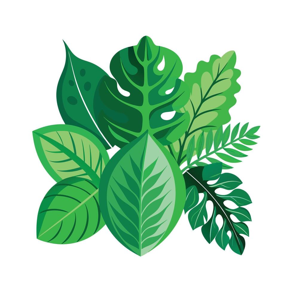 Realistic Beautiful Leaves Illustration vector