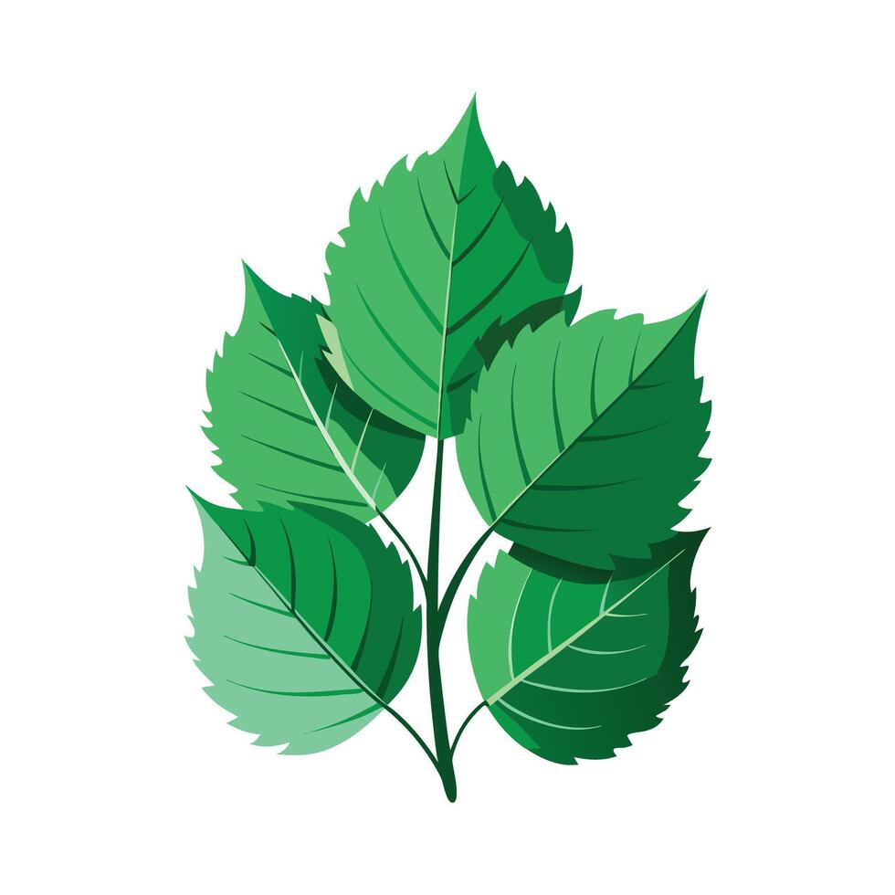 Realistic Beautiful Leaves Illustration vector