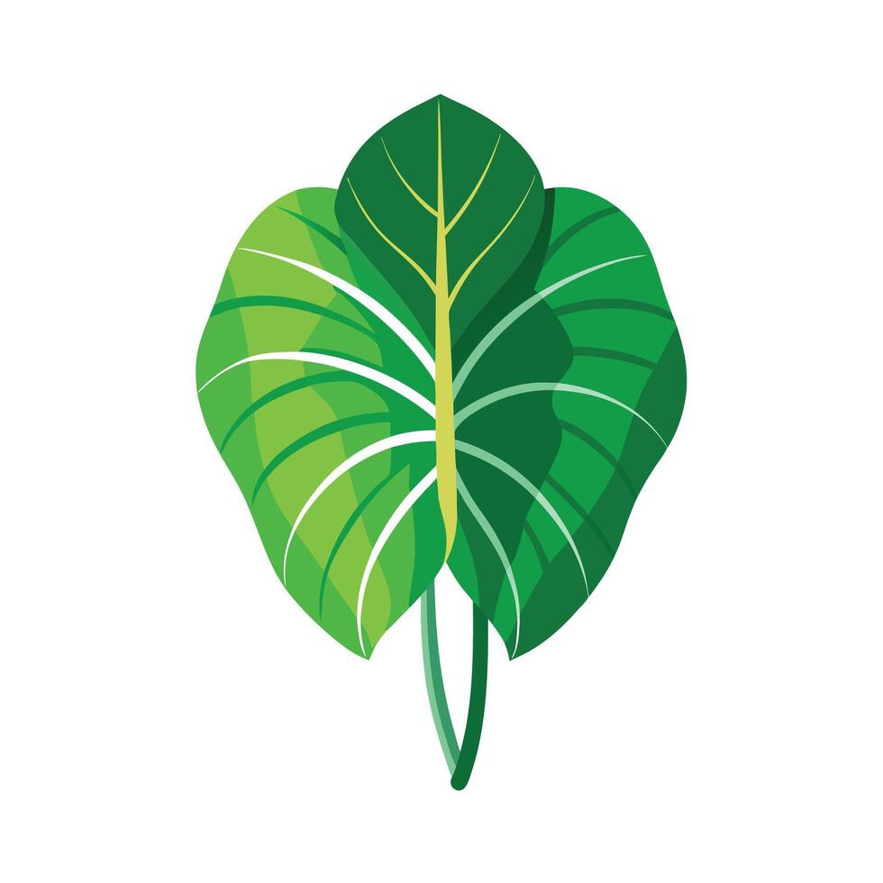 Realistic Beautiful Leaves Illustration vector