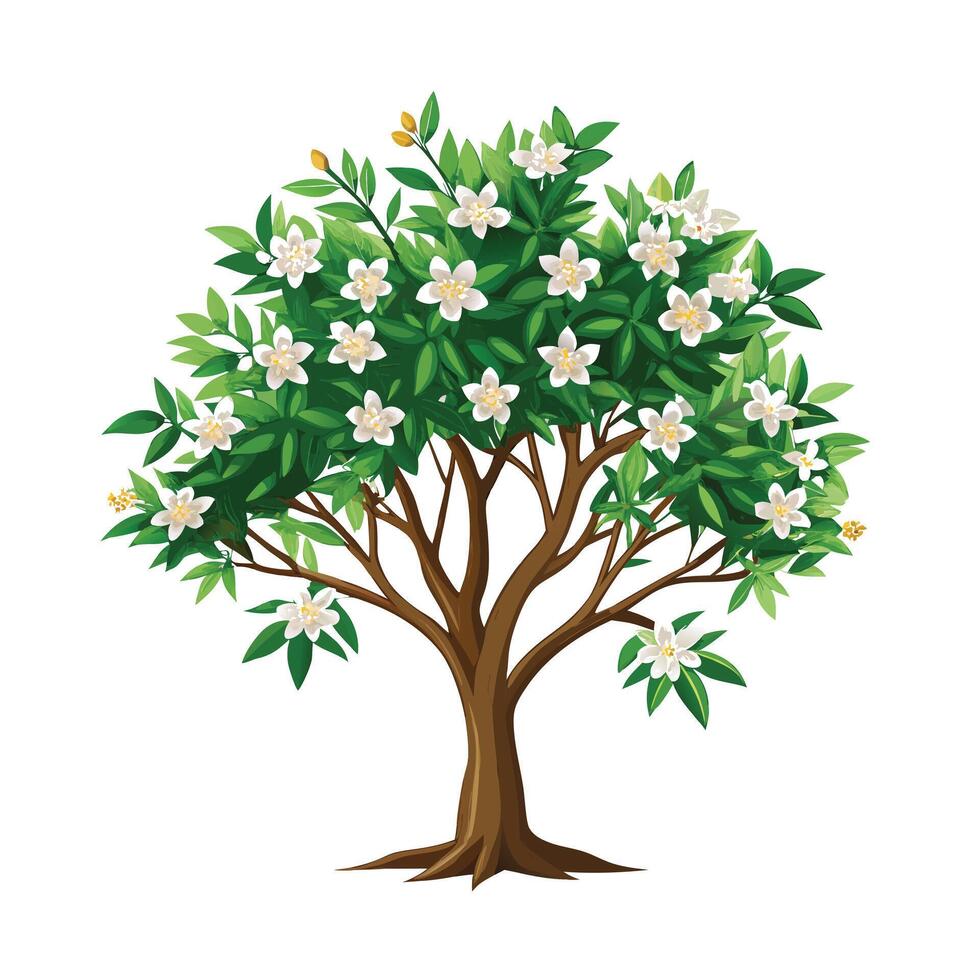 Beautiful Single Big Tree Illustration vector