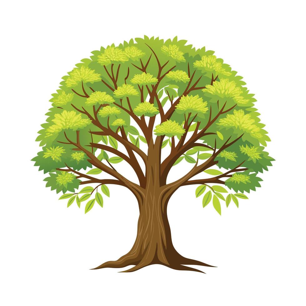 Beautiful Single Big Tree Illustration vector