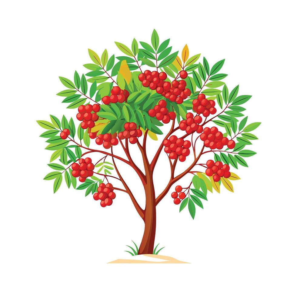 Beautiful Single Big Tree Illustration vector