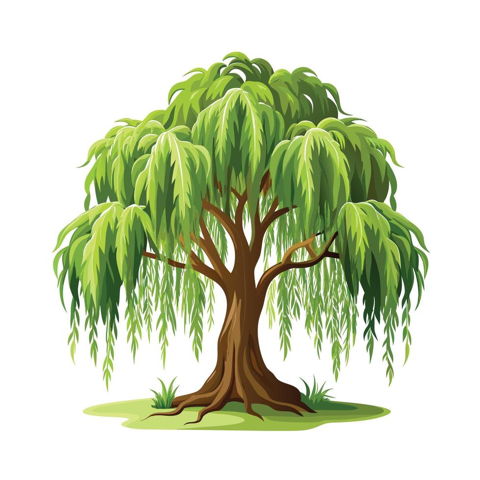 Beautiful Single Big Tree Illustration vector