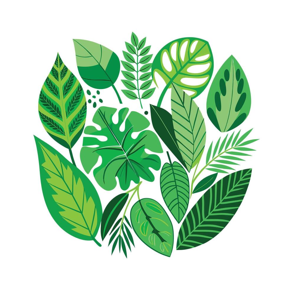 Realistic Beautiful Leaves Illustration vector