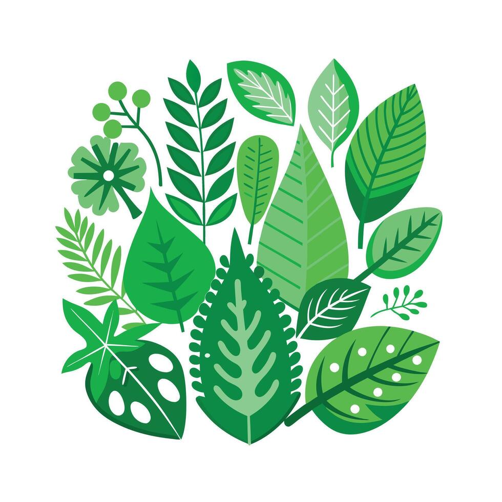 Realistic Beautiful Leaves Illustration vector