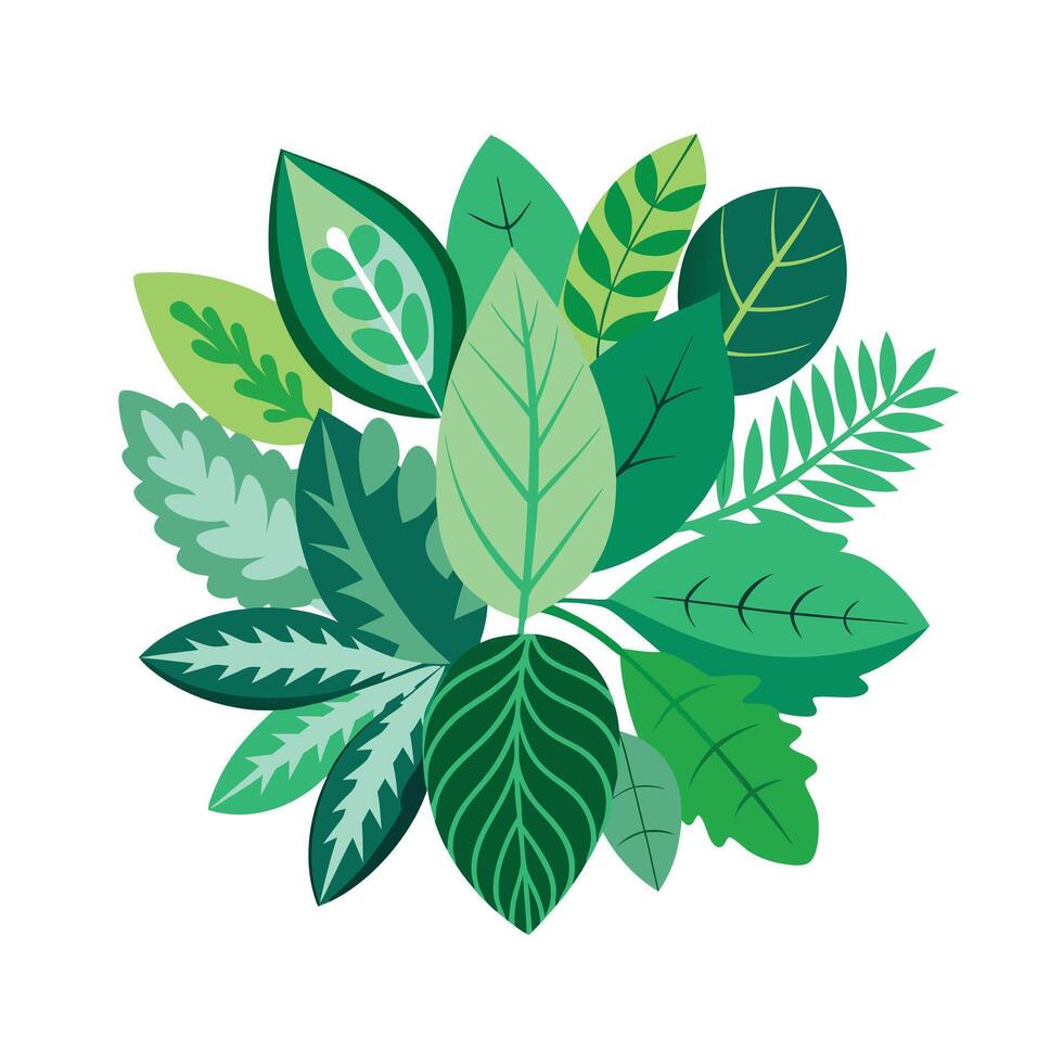 Realistic Beautiful Leaves Illustration vector