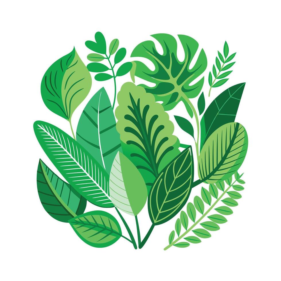 Realistic Beautiful Leaves Illustration vector