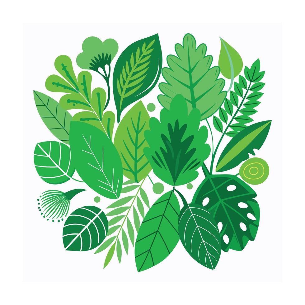 Realistic Beautiful Leaves Illustration vector