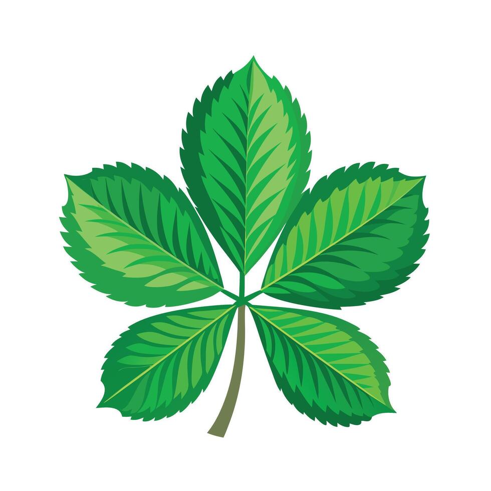 Realistic Beautiful Leaves Illustration vector