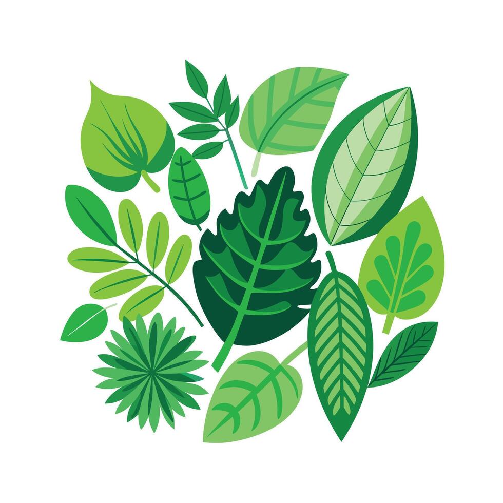Realistic Beautiful Leaves Illustration vector