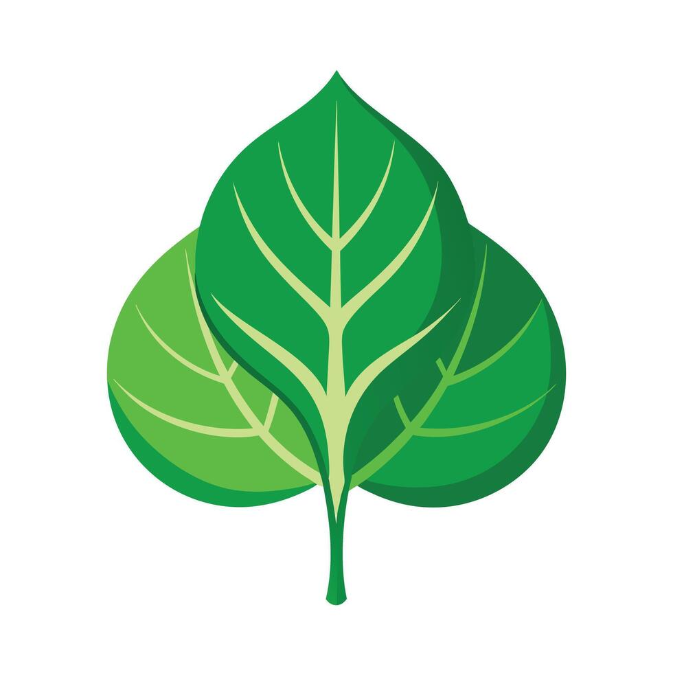 Realistic Beautiful Leaves Illustration vector