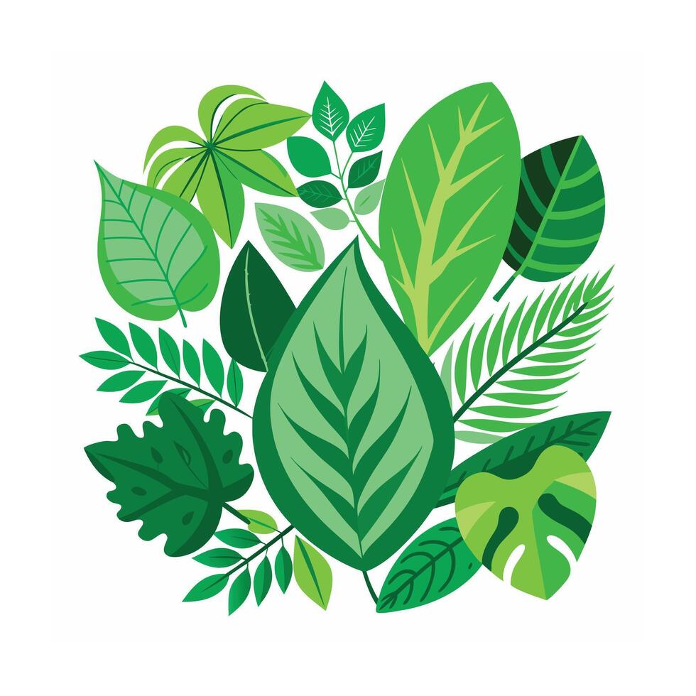 Realistic Beautiful Leaves Illustration vector