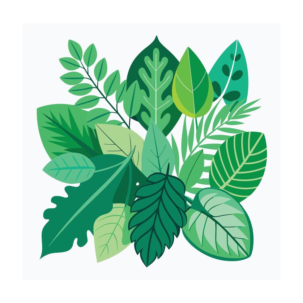 Realistic Beautiful Leaves Illustration vector