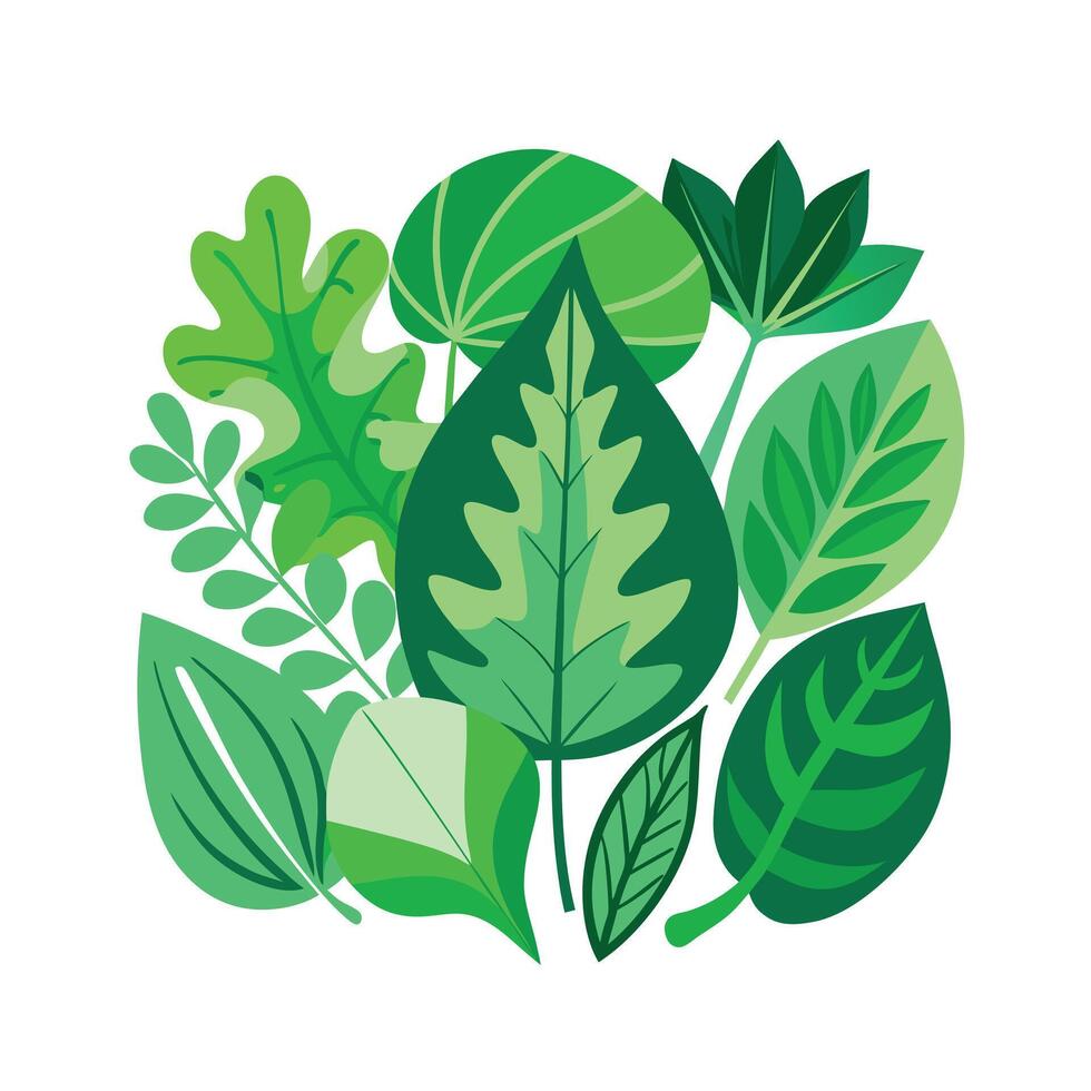 Realistic Beautiful Leaves Illustration vector